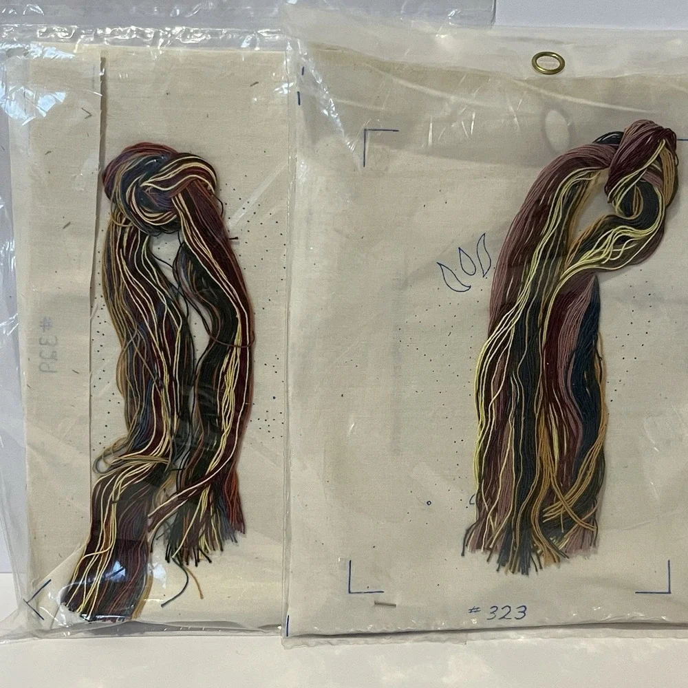 2 VTG Needle‎ Magic Embroidery Candlewicking Kits Chicken Sprinkling Can Cottage